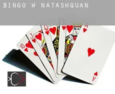 Bingo w  Natashquan