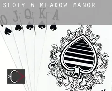 Sloty w Meadow Manor