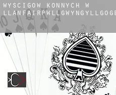 Wyścigów konnych w  Llanfairpwllgwyngyllgogerychwyrndrobwllllantysiliogogogoch