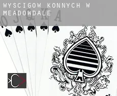 Wyścigów konnych w Meadowdale