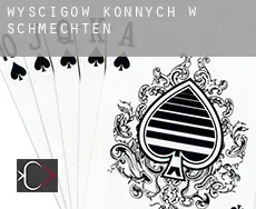 Wyścigów konnych w Schmechten