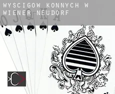 Wyścigów konnych w  Wiener Neudorf