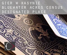 Gier w kasynie Bluewater Acres