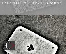 Kasynie w Horní Branná