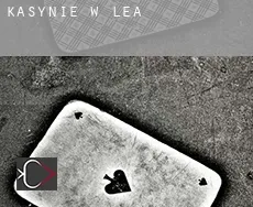 Kasynie w Lea