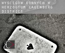 Wyścigów konnych w Herzogtum Lauenburg District