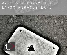 Wyścigów konnych w  Larox Miracle Land