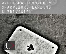 Wyścigów konnych w  Sharpsburg Landing Subdivision