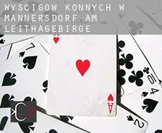 Wyścigów konnych w Mannersdorf am Leithagebirge