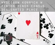 Wyścigów konnych w  Pinion Pines