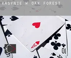 Kasynie w  Oak Forest