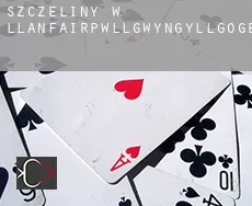 Szczeliny w Llanfairpwllgwyngyllgogerychwyrndrobwllllantysiliogogogoch
