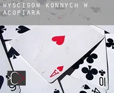 Wyścigów konnych w  Acopiara