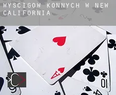 Wyścigów konnych w New California