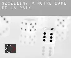Szczeliny w  Notre-Dame-de-la-Paix