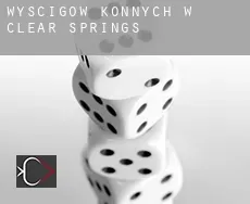 Wyścigów konnych w Clear Springs