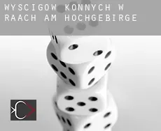 Wyścigów konnych w  Raach am Hochgebirge