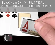 Blackjack w  Plateau-Mont-Royal (census area)