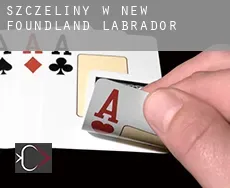 Szczeliny w  Newfoundland and Labrador
