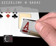 Szczeliny w  Sakai