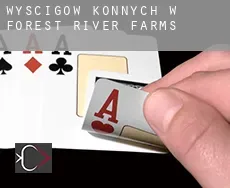 Wyścigów konnych w  Forest River Farms