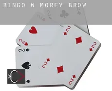 Bingo w  Morey Brow
