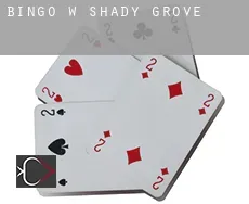 Bingo w  Shady Grove