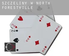 Szczeliny w North Forestville