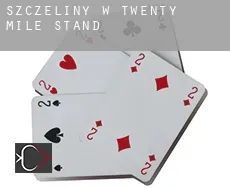 Szczeliny w  Twenty Mile Stand