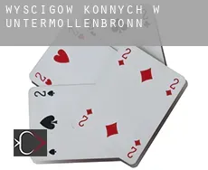 Wyścigów konnych w  Untermöllenbronn
