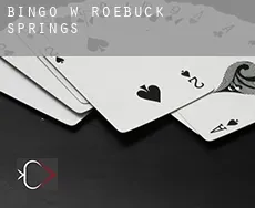 Bingo w  Roebuck Springs