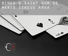 Bingo w  Saint-Nom-de-Marie (census area)