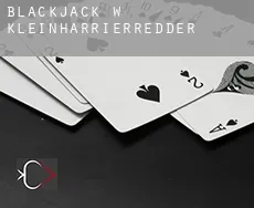 Blackjack w  Kleinharrierredder