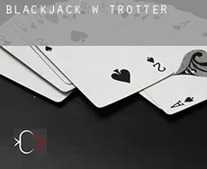 Blackjack w  Trotter