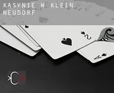 Kasynie w  Klein Neudorf