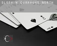 Sloty w  Curraghs North