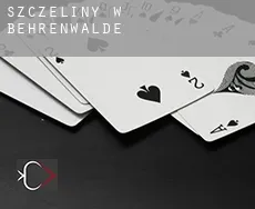 Szczeliny w Behrenwalde