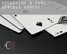 Szczeliny w  Cool Springs Forest