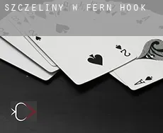 Szczeliny w Fern Hook