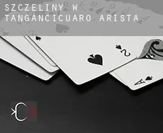 Szczeliny w Tangancícuaro de Arista