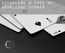Szczeliny w  Tree of Knowledge Corner