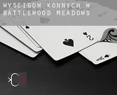 Wyścigów konnych w Battlewood Meadows