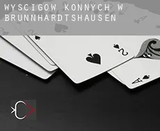 Wyścigów konnych w Brunnhardtshausen