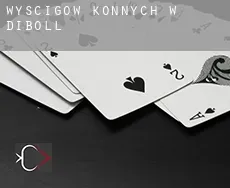 Wyścigów konnych w  Diboll