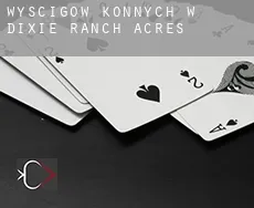 Wyścigów konnych w Dixie Ranch Acres