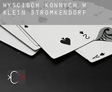 Wyścigów konnych w Klein Strömkendorf