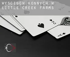Wyścigów konnych w  Little Creek Farms