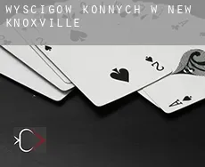 Wyścigów konnych w New Knoxville