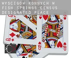 Wyścigów konnych w  Fish Springs