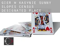 Gier w kasynie  Sunny Slopes